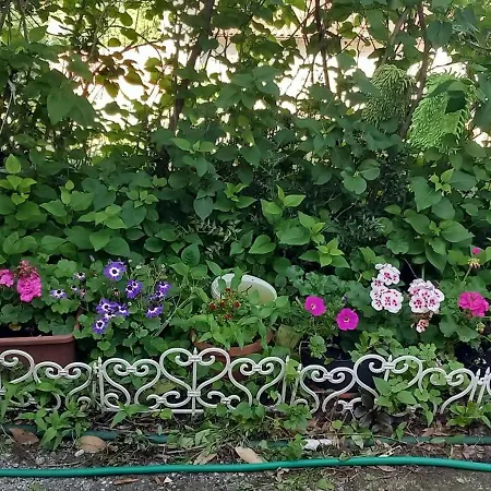 Apartment Svilno *