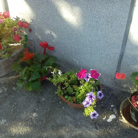 Svilno Apartment