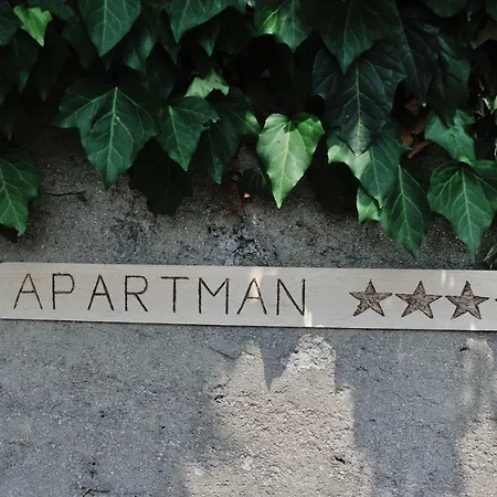 Apartment Svilno *