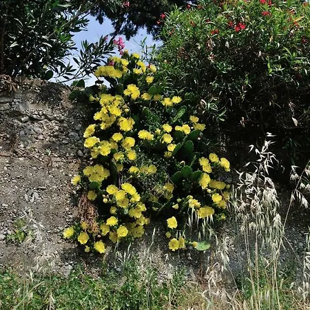 Svilno Appartamento Fiume