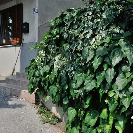 Svilno Apartment Rijeka