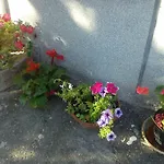 Svilno Appartamento