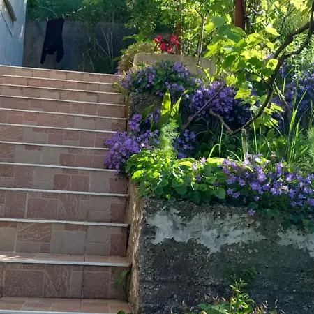 Svilno Apartamento *