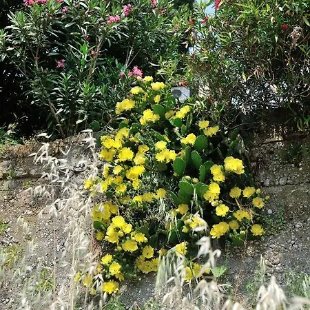 Svilno Apartman Rijeka