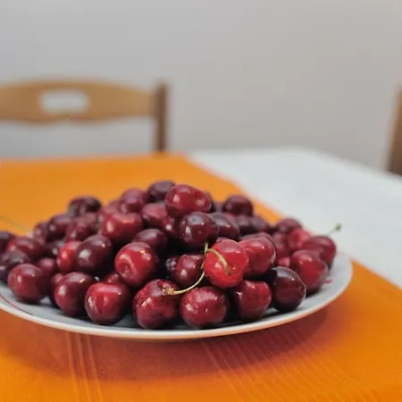 Svilno Apartamento