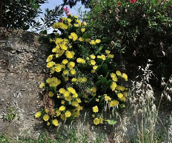 Svilno Apartamento Rijeka