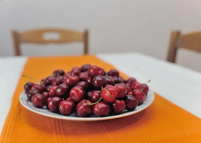 Svilno Apartamento